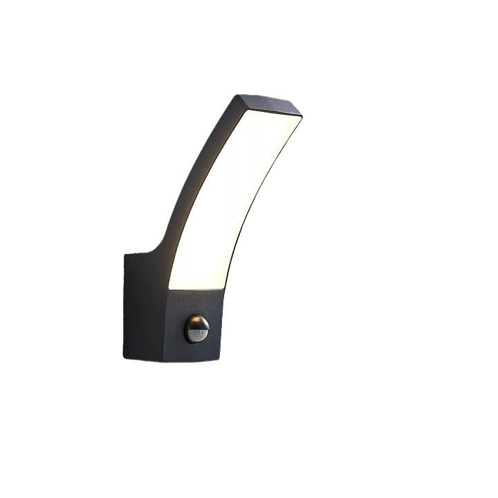 LED Outdoor Wall Lamp With Induction